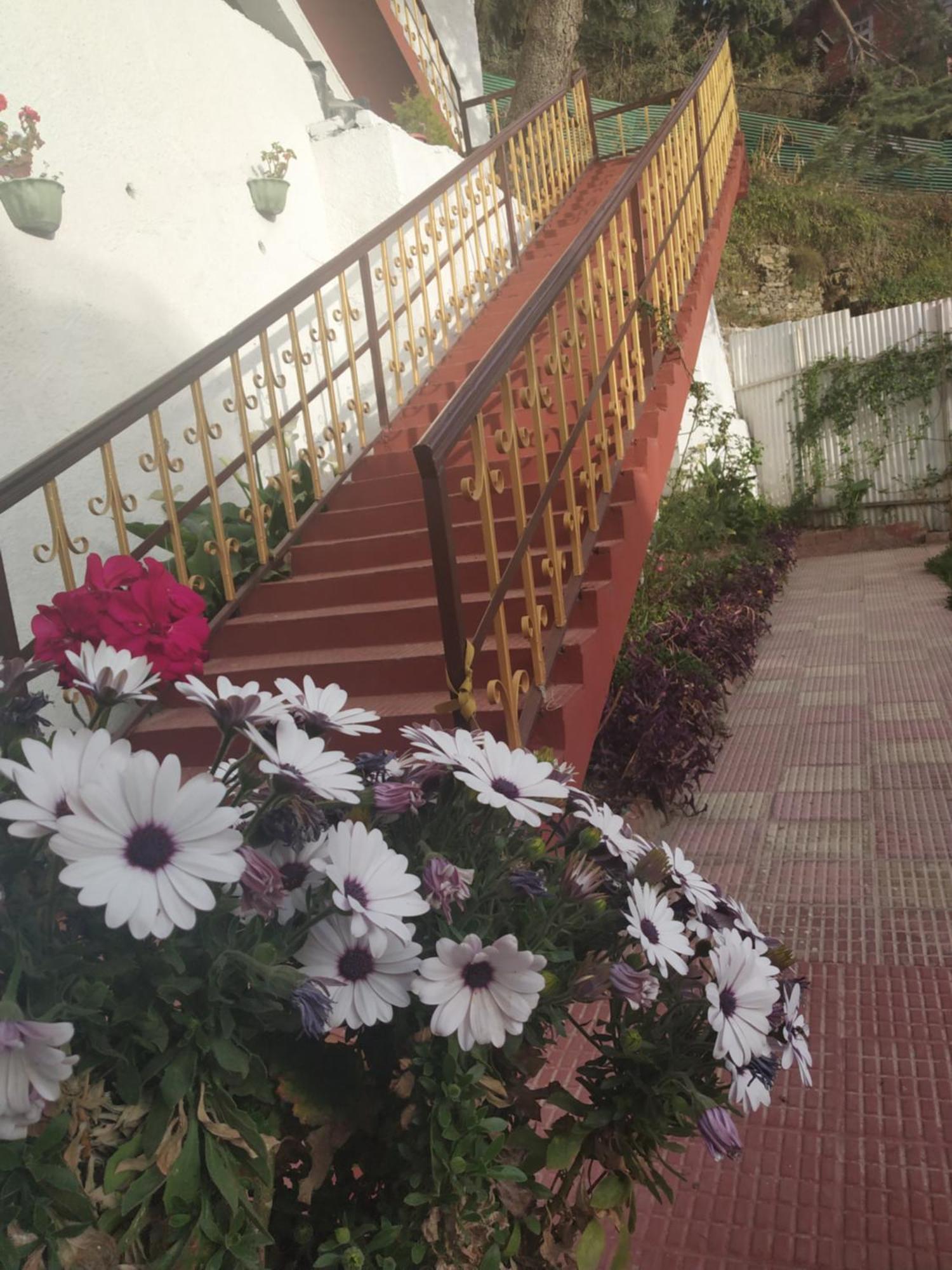 Garden Cottages Shimla Exterior photo